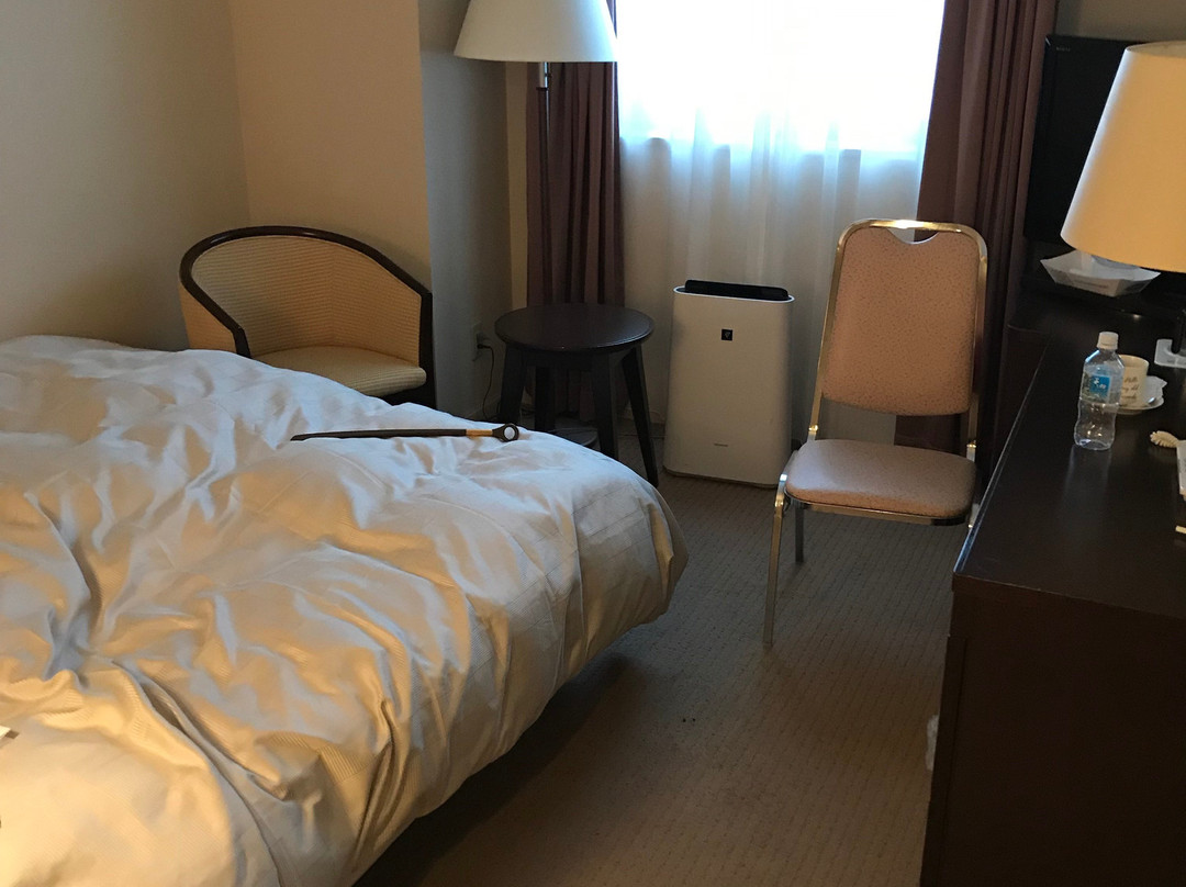 Misawa City Hotel主图
