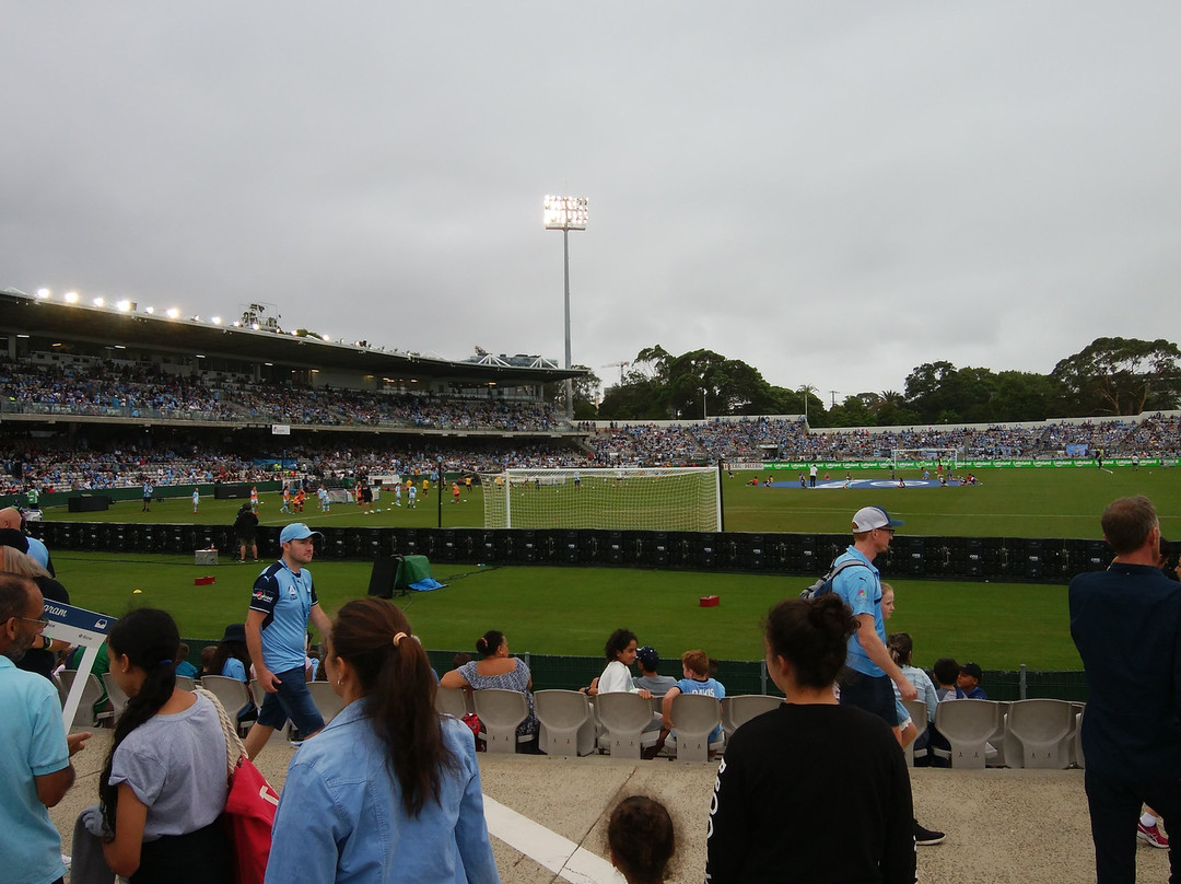 Netstrata Jubilee Stadium景点图片