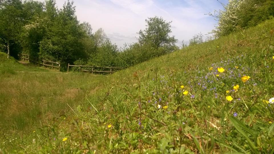 Fermyn Woods Country Park-Brigstock必去景点