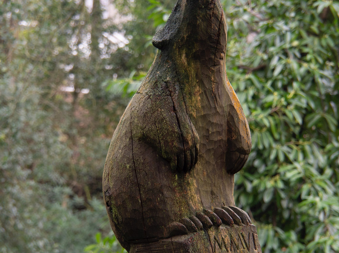 Bold Venture Park-Darwen必去景点