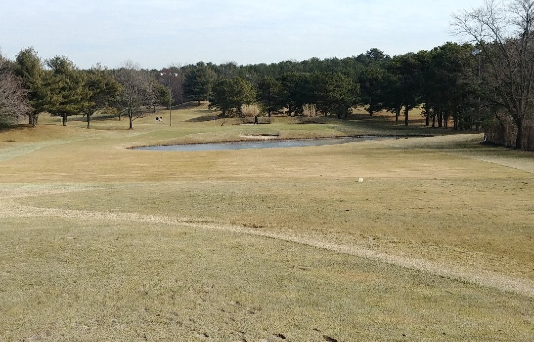 Heartland Golf Park-Edgewood必去景点