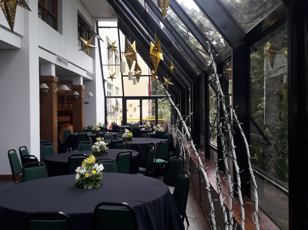 Tri Hotel Canela主图