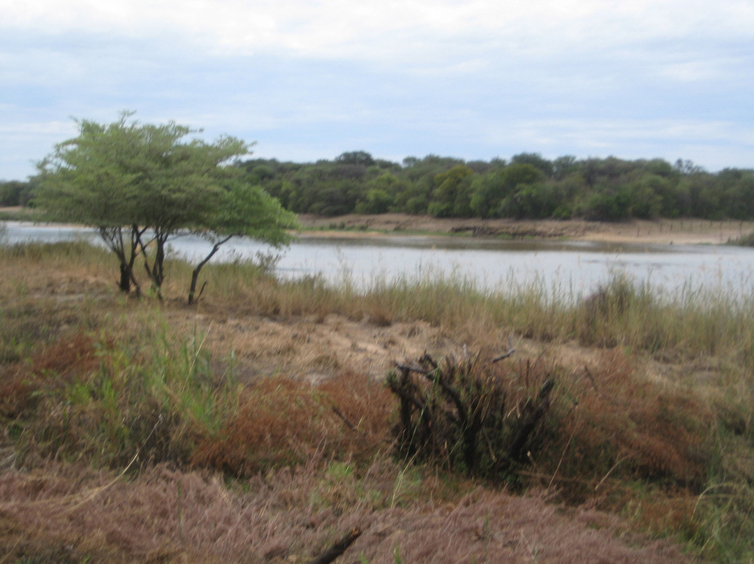 Hakusembe River Lodge主图