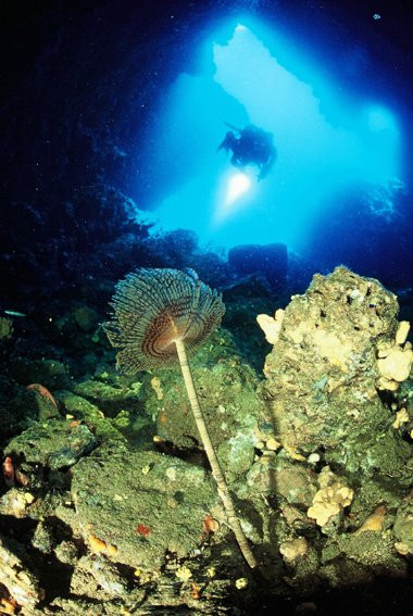 Aquanaut-波德戈里察必去景点