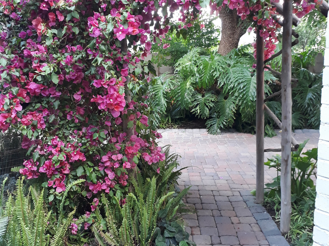 Serenity Green Guesthouse主图