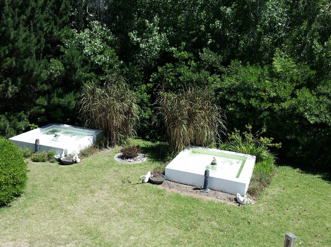 Posada de los Pajaros主图