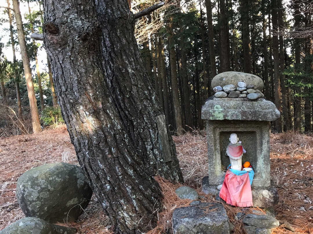 Mt. Jubu-和束町必去景点