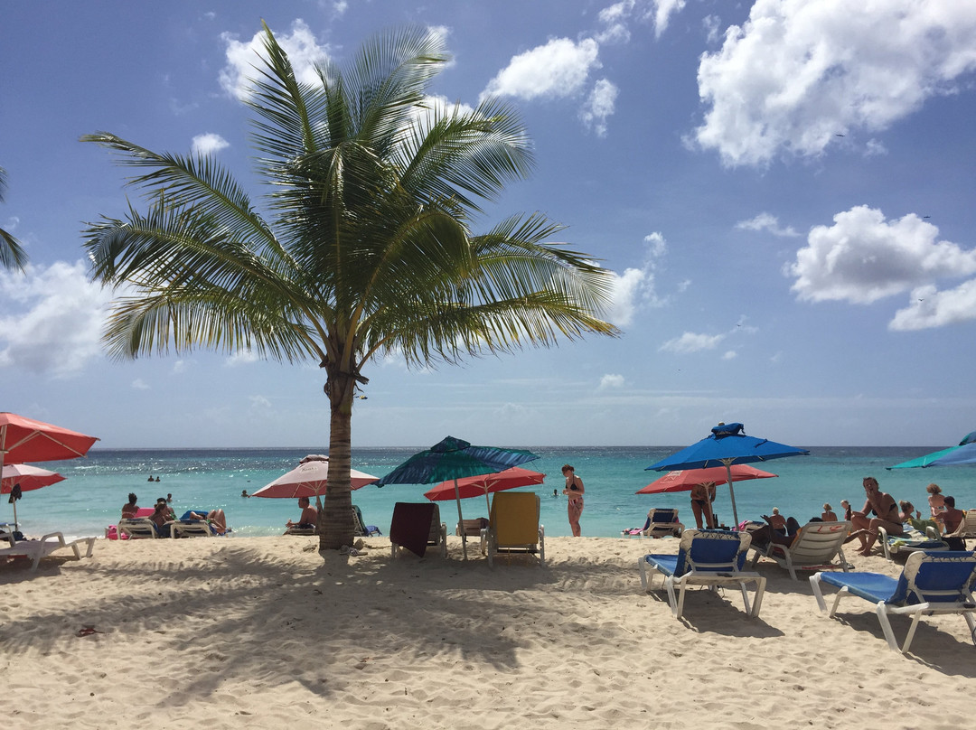 Dover Woods Guesthouse主图