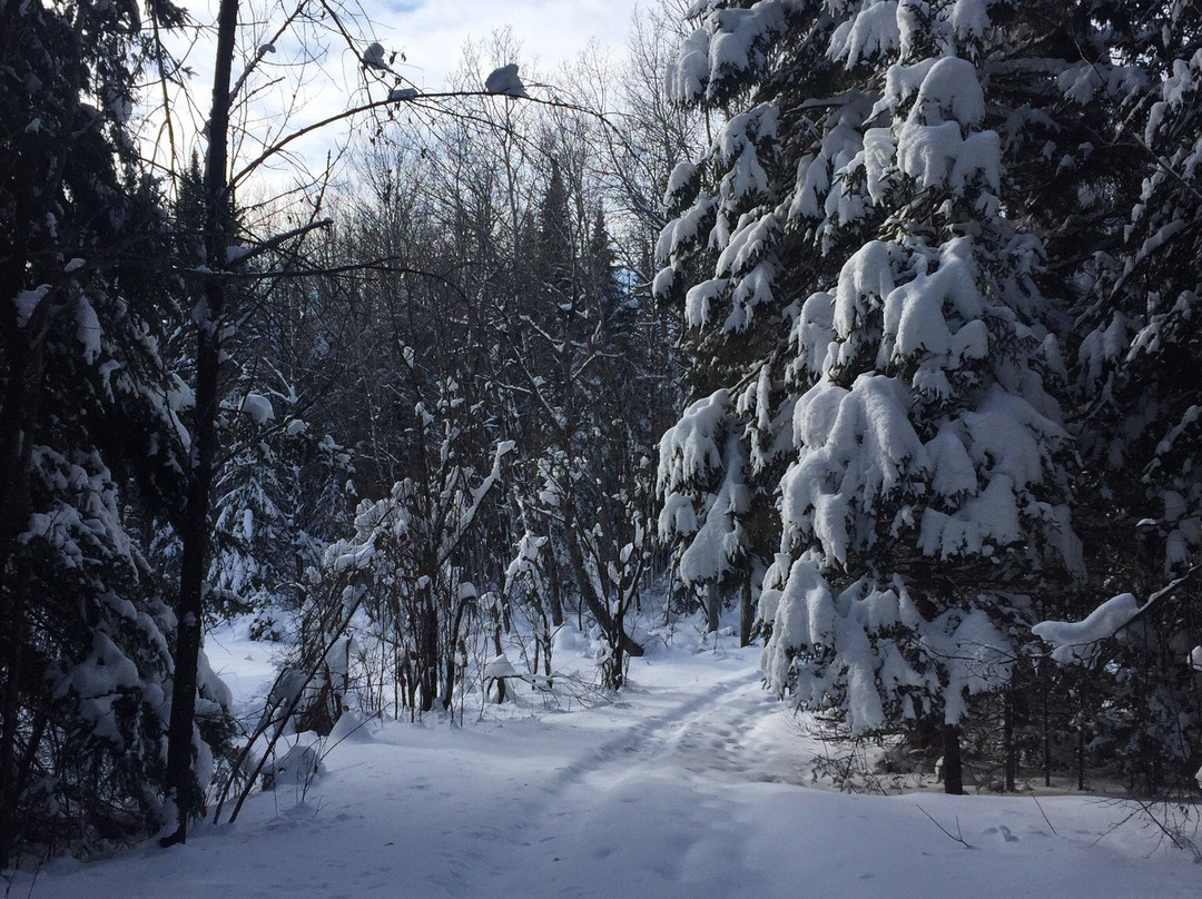 Aroostook National Wildlife Refuge景点图片