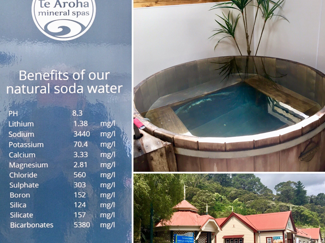 Te Aroha Mineral Spa景点图片