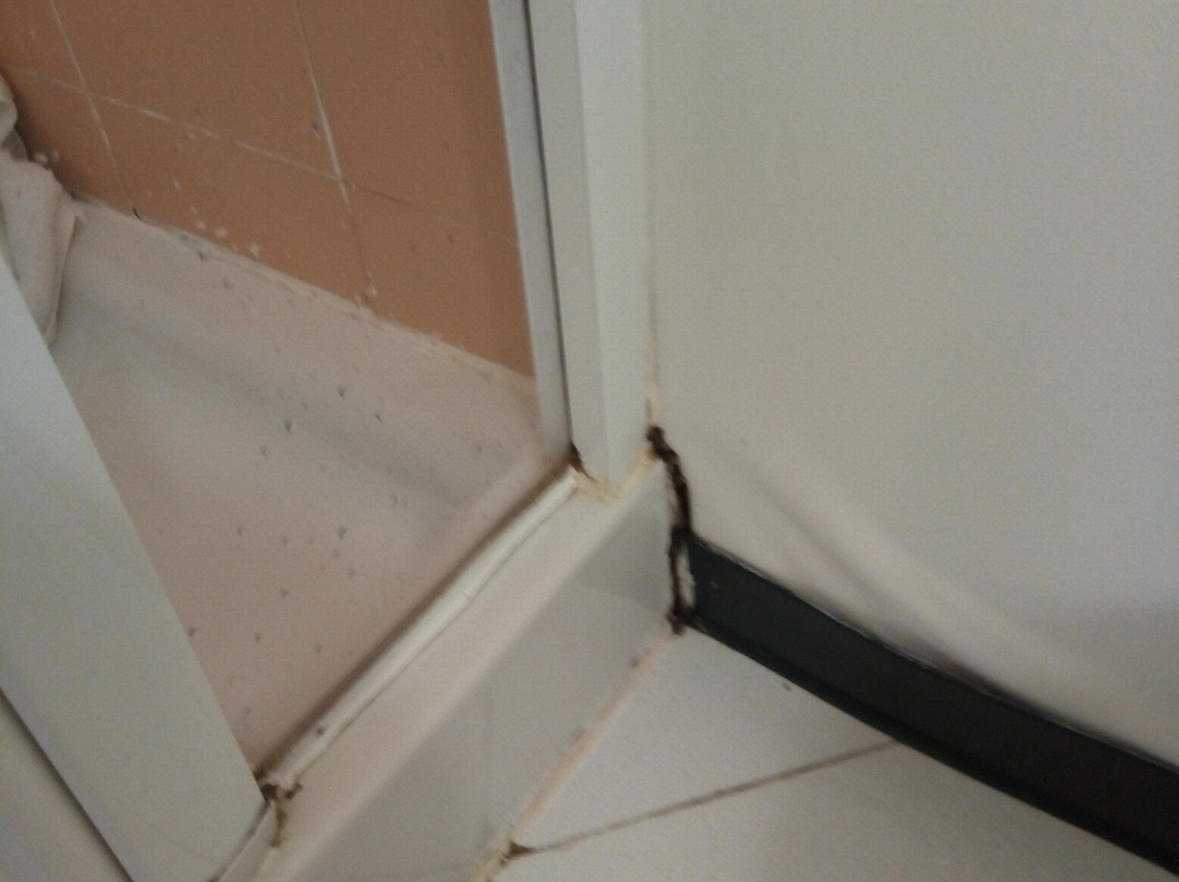 Hotel Iris Guadalajara主图