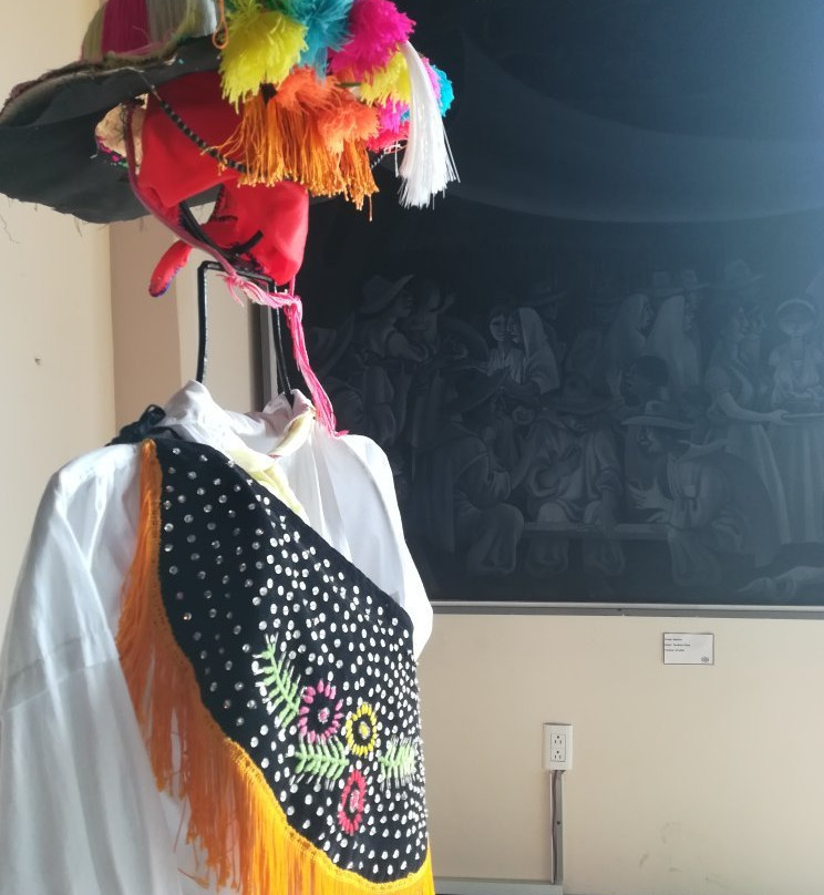 Museo Teodoro Cano景点图片