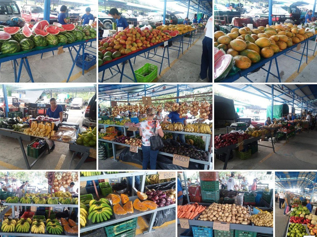 Feria Del Agricultor景点图片