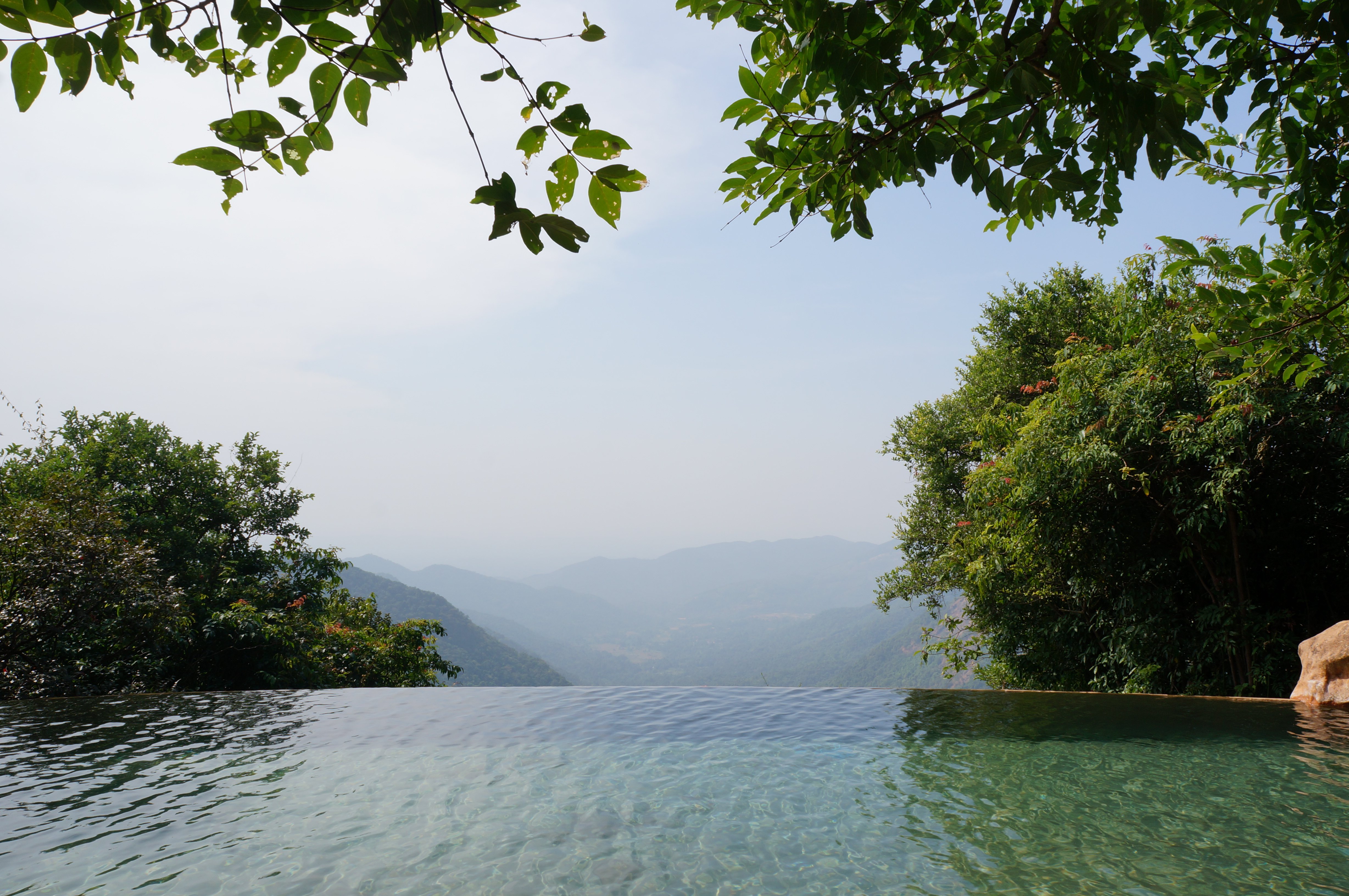 Wildernest Nature Resort-泳池