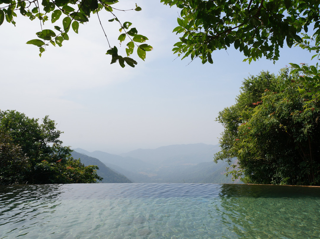 Wildernest Nature Resort主图