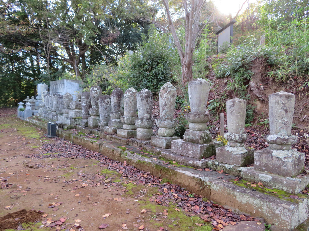 Hojo-ji Temple-伊豆之国市必去景点