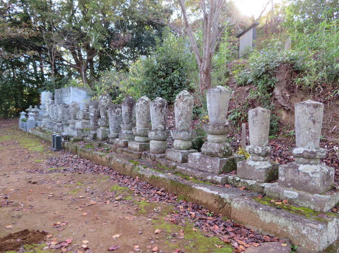 Hojo-ji Temple景点图片