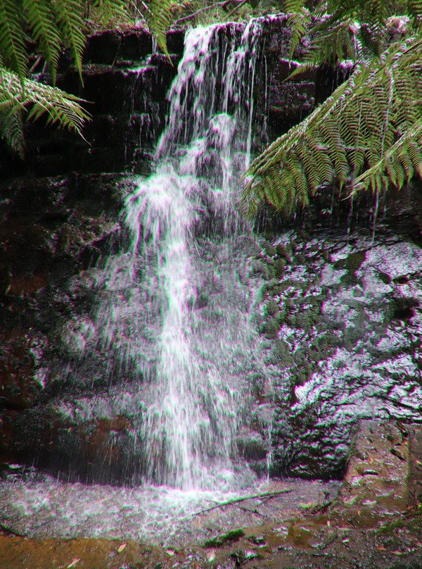 Fern Tree to Silver Falls Loop景点图片