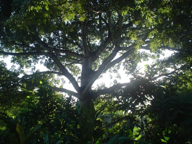 EcoLodge "La Bonita"主图