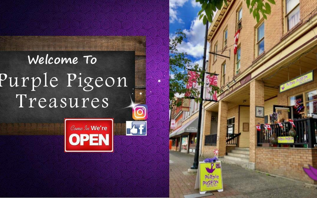 Purple Pigeon Treasures景点图片