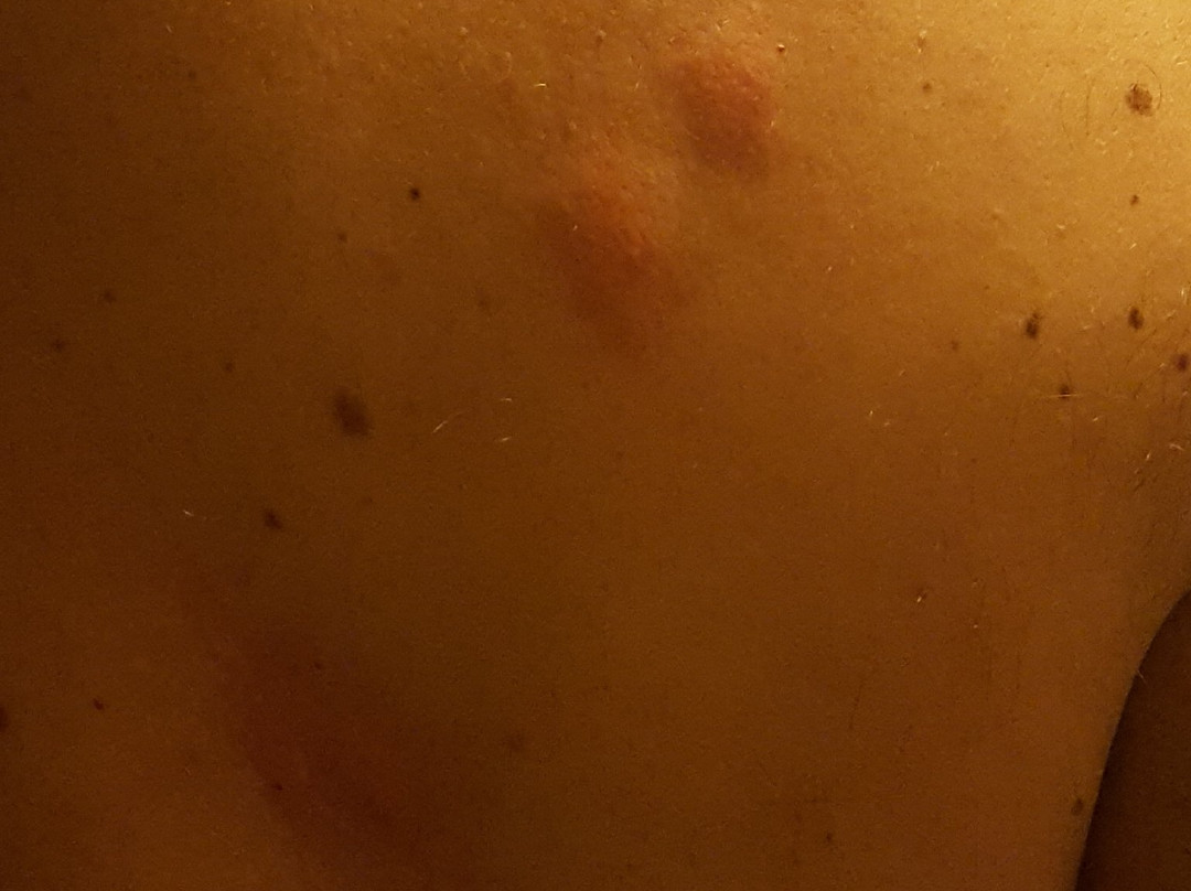 易斯特布鲁克旅馆主图