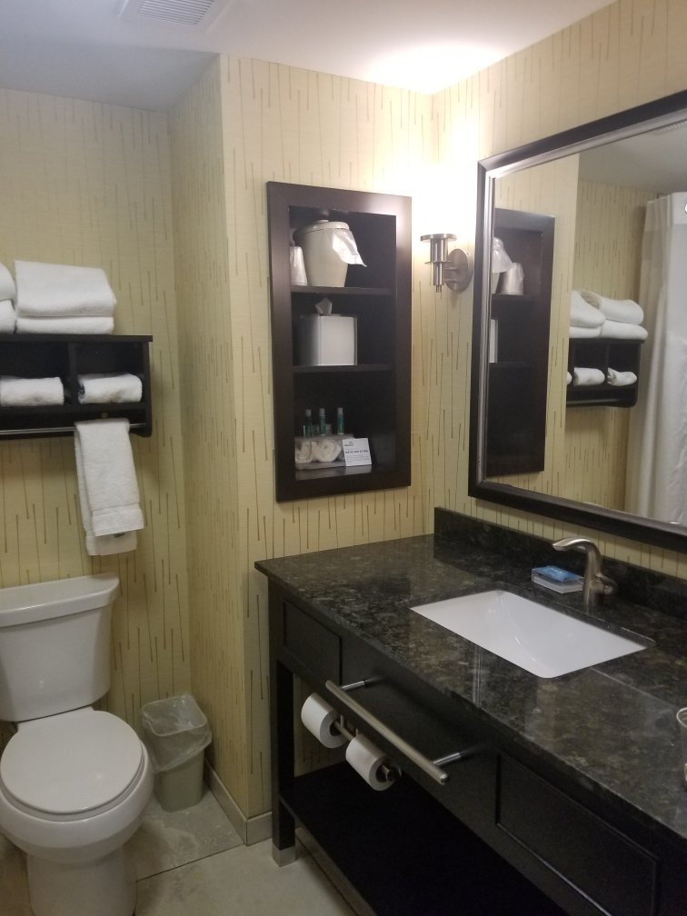 Holiday Inn Express & Suites Davenport By IHG-浴室