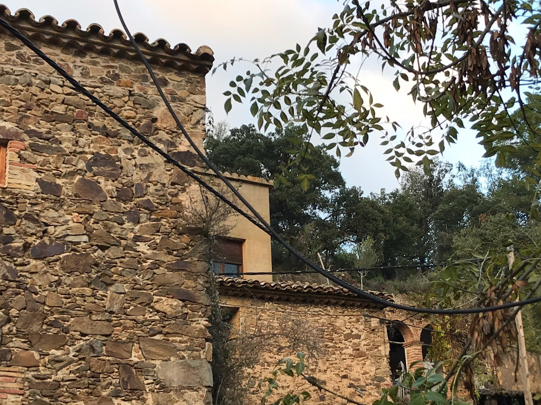 Celler Can Sais-Vall-Llobrega必去景点