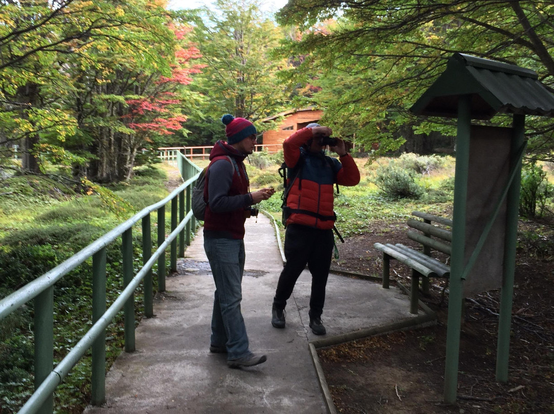 Indomita Adventures Patagonia-蓬塔阿雷纳斯必去景点