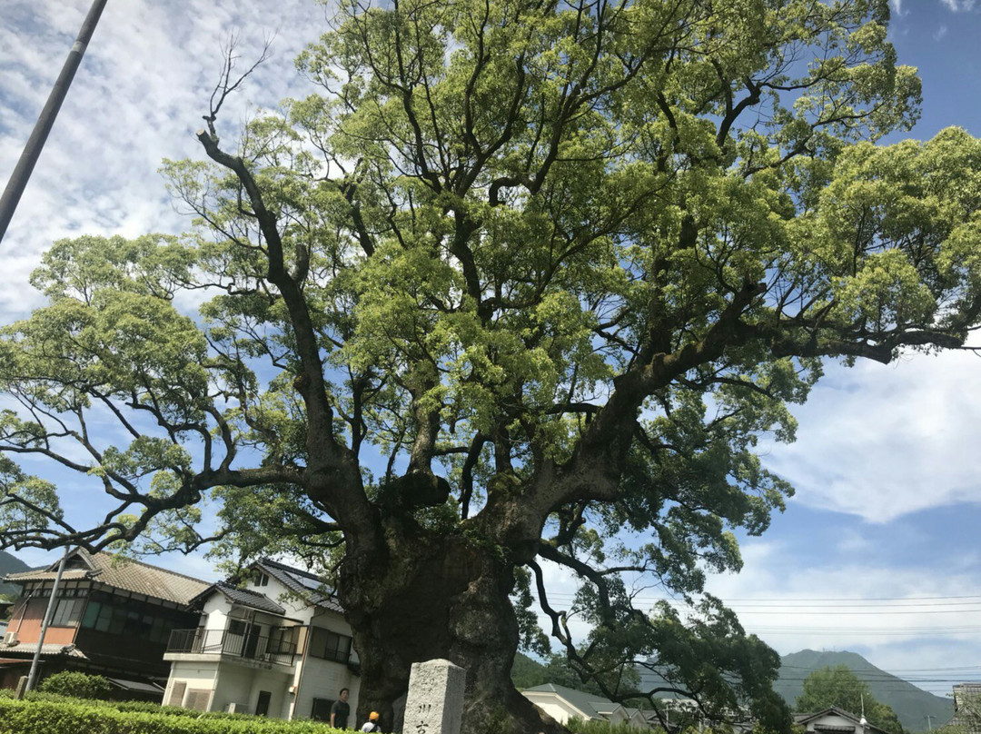 Kawagono Okusu-武雄市必去景点