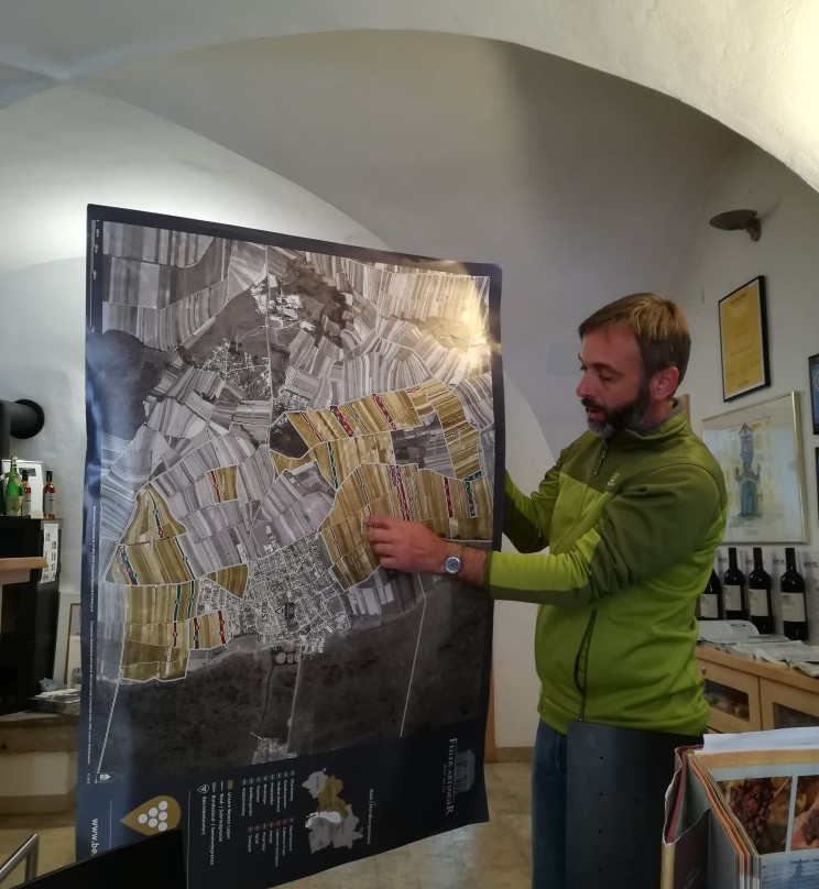 Weingut Feiler-Artinger-Rust必去景点