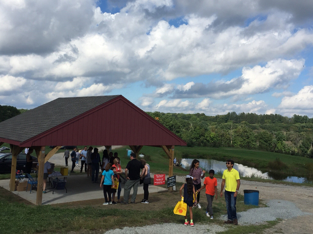The Big Apple Farm-伦瑟姆必去景点