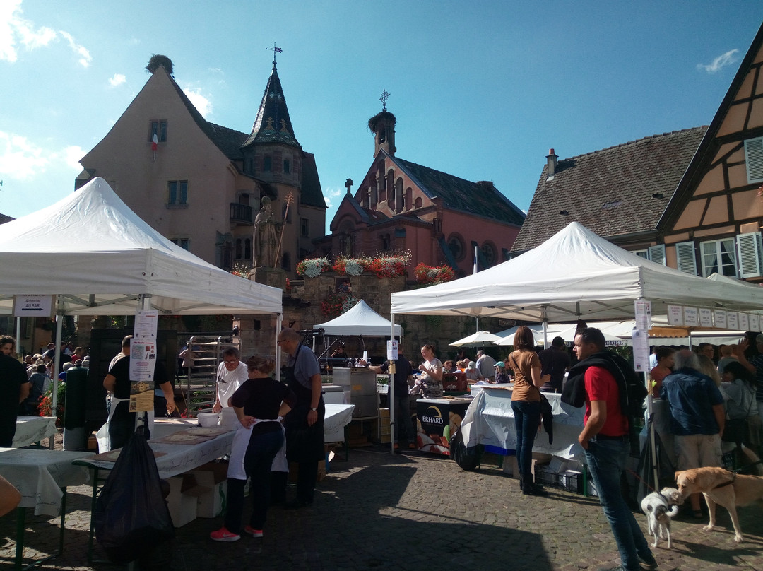 Le Chateau des Comtes d'Eguisheim