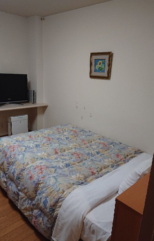 Hotel Tajimi Hills My Room主图
