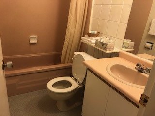 Best Continental Motel-浴室