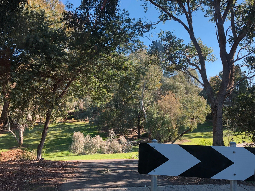 Marshall Reserve-唐克斯特必去景点