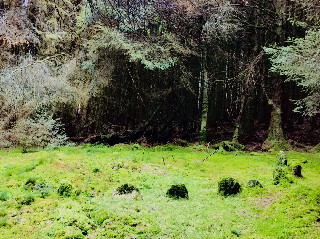 Feeny旅游景点-Loughermore Forest