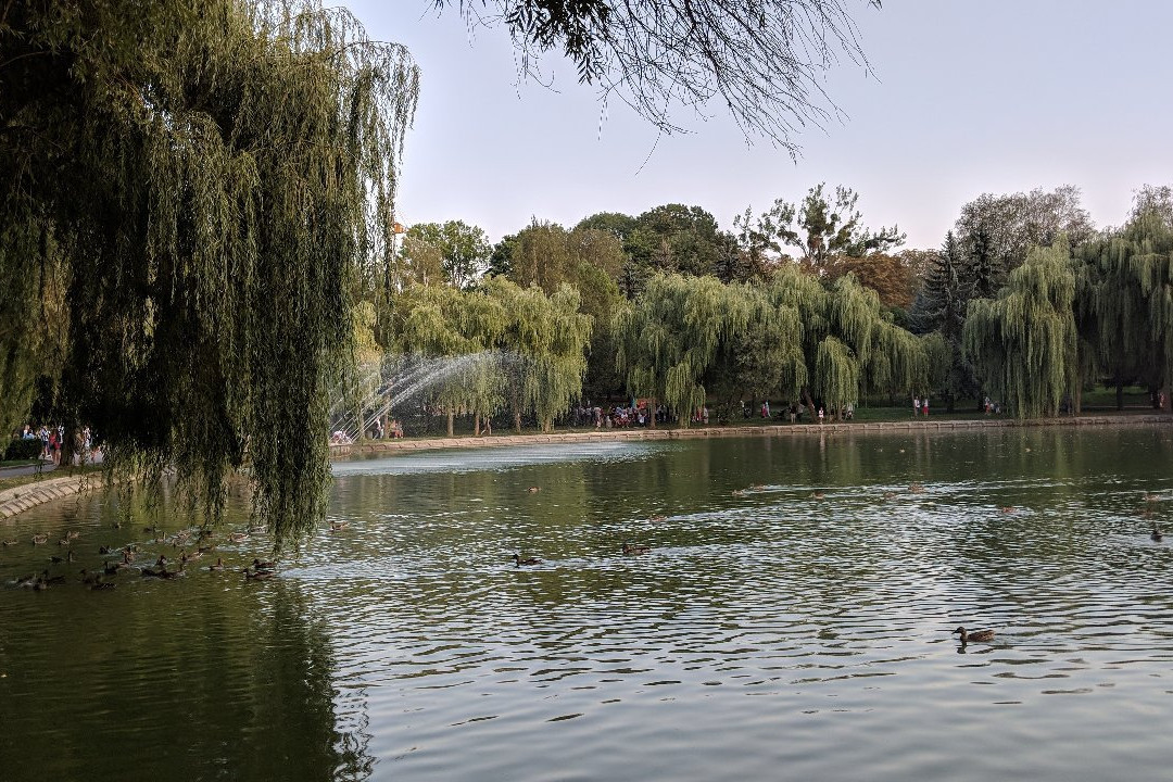 Lebedinnoye Lake-罗夫诺必去景点