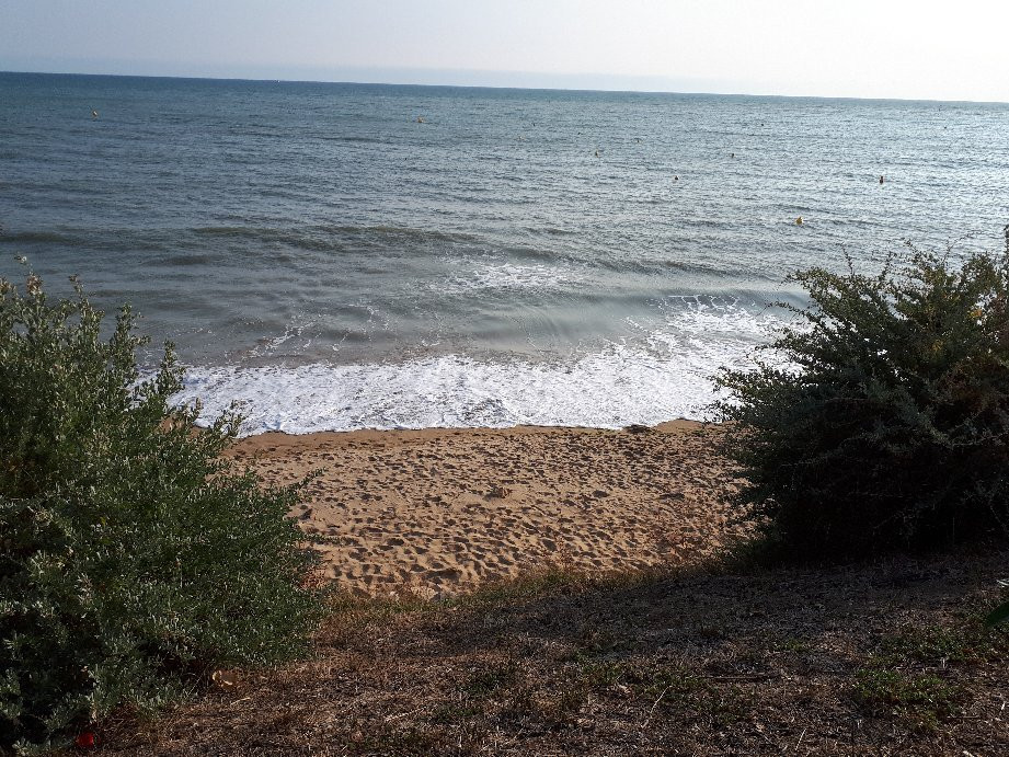 Plage du boisvinet景点图片