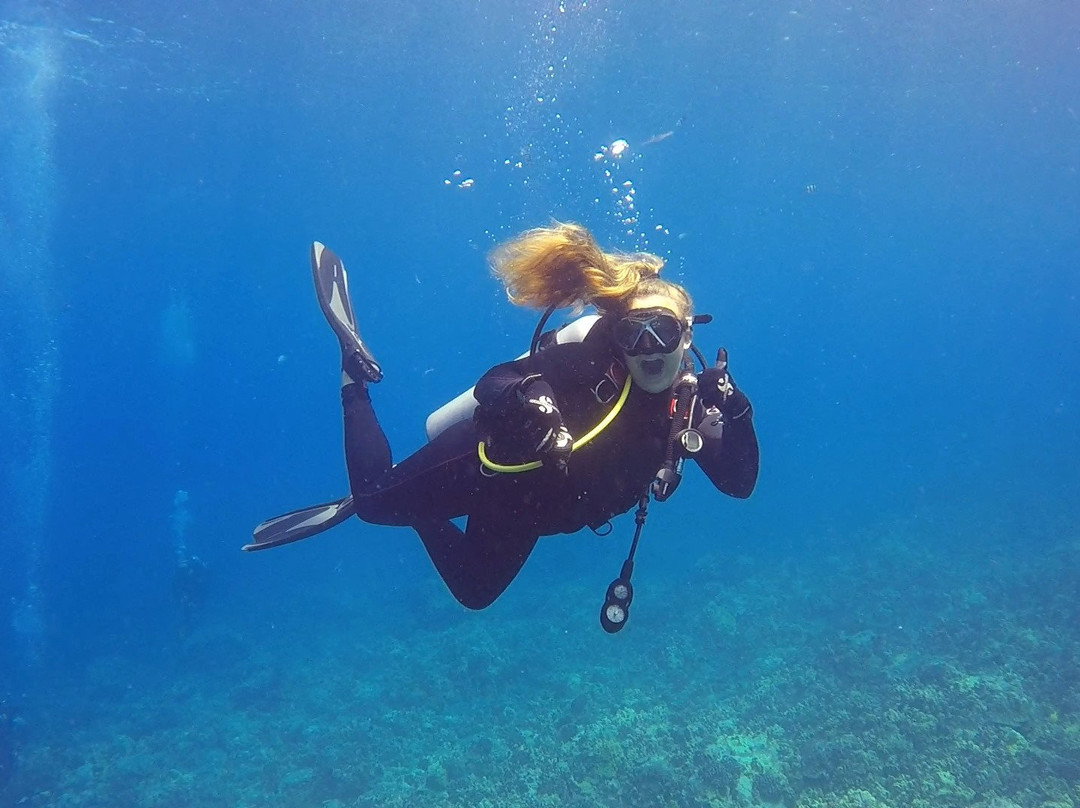 Adventure Dive Center-奥尔巴尼必去景点