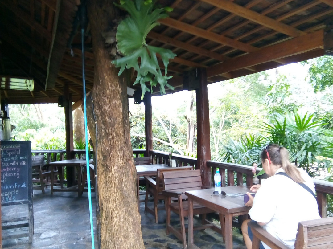 32 Coffee Hill & Resort主图