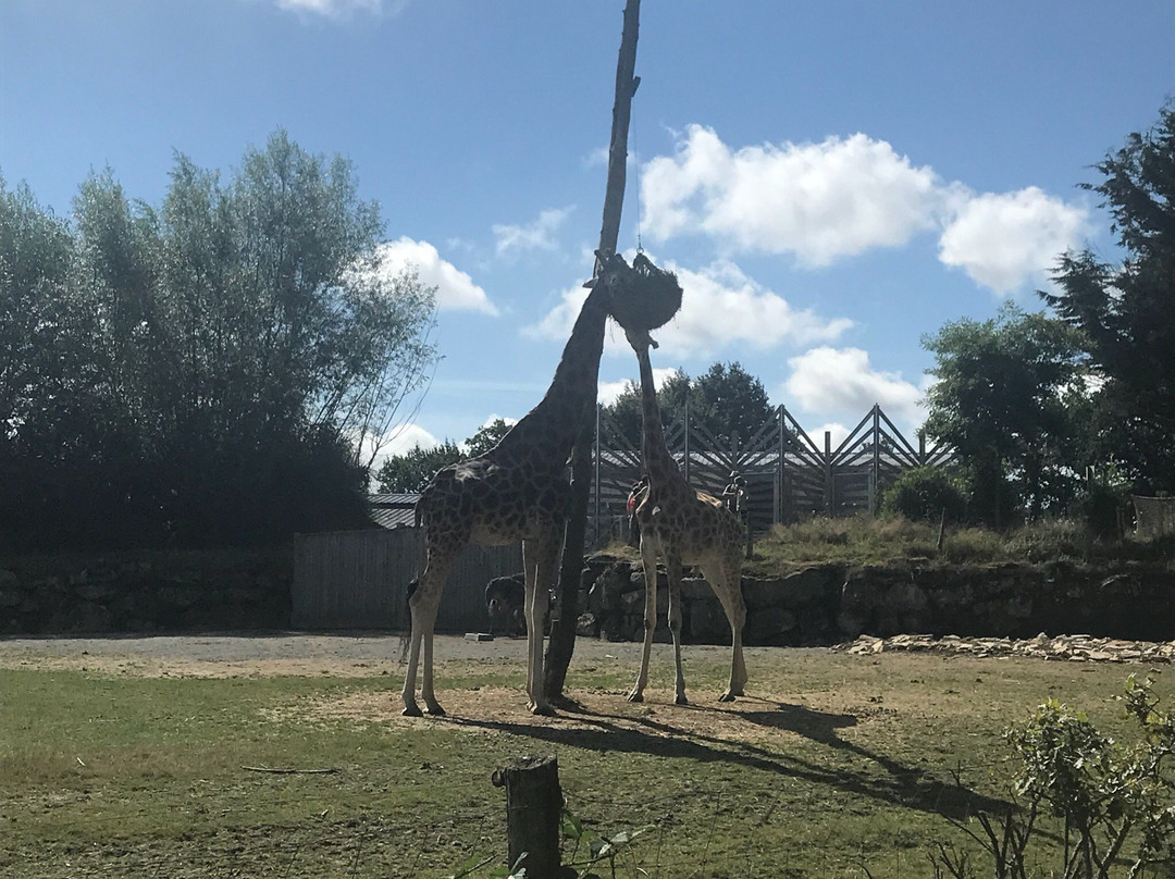Le Guerno旅游攻略图片