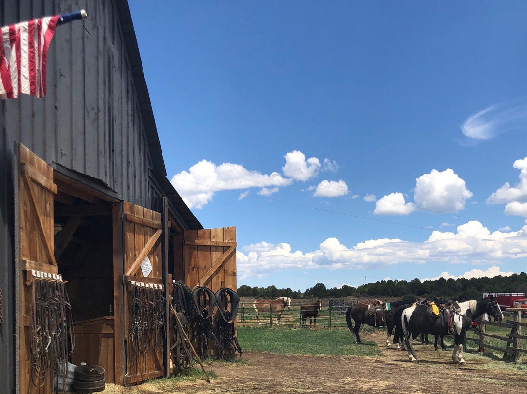 Telluride Horseback Adventures - Ride with Roudy-特柳赖德必去景点