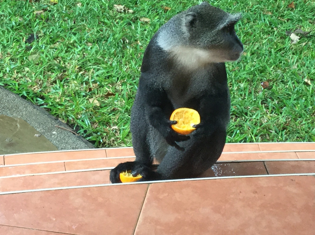 Neptune Paradise Beach Resort & Spa主图