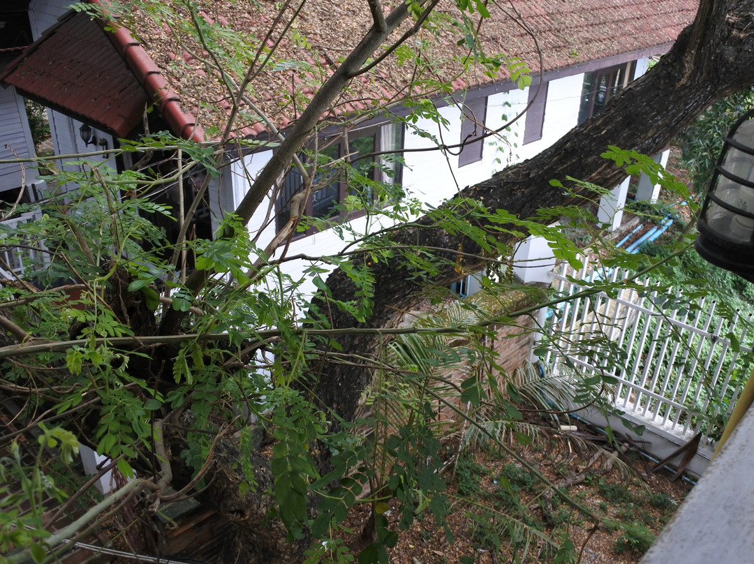 旧皇宫度假村酒店主图