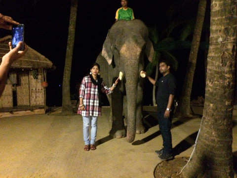 Elephant Show-科克斯巴扎尔必去景点