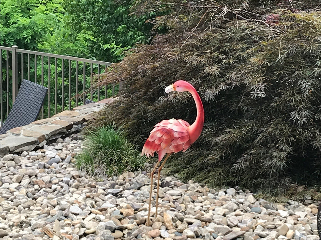 Shirley's Bed And Breakfast主图