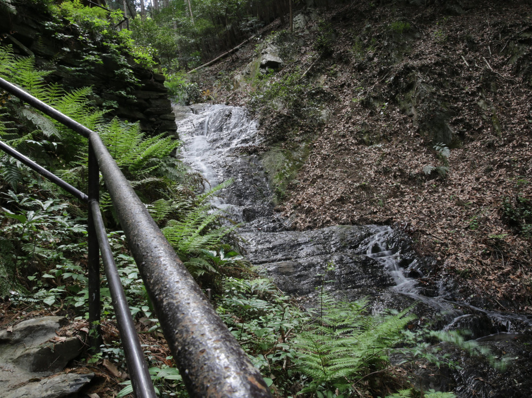 Narutaki Falls景点图片