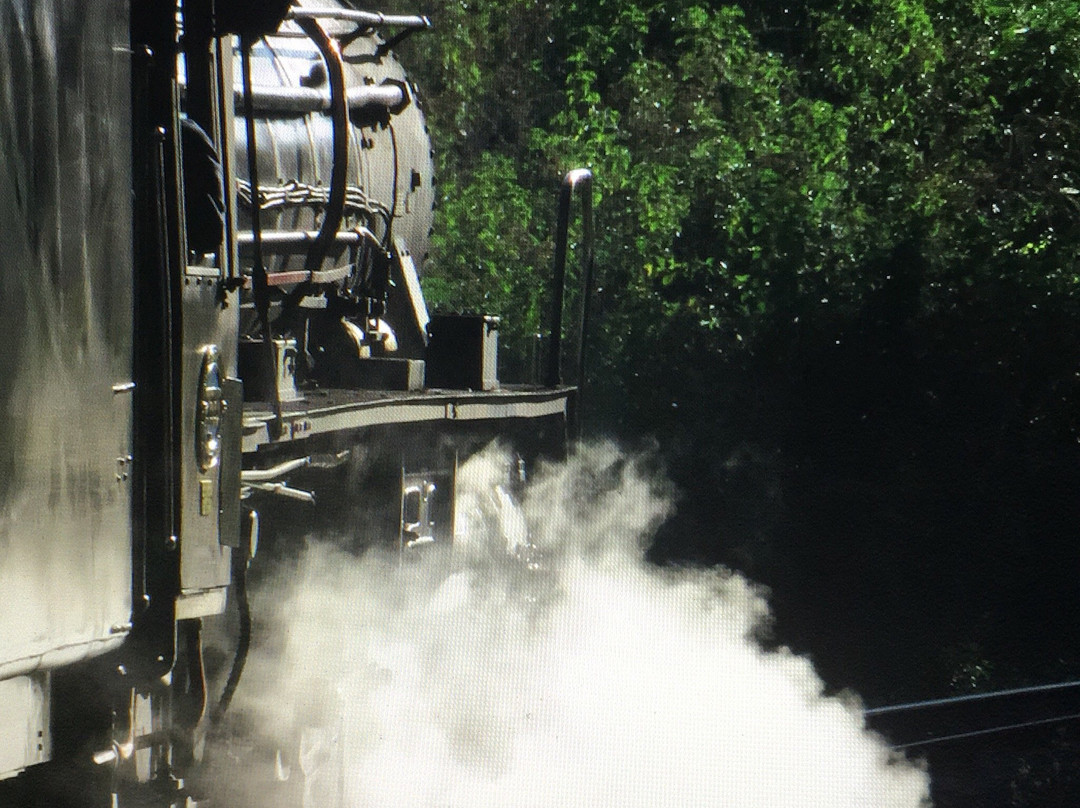 Umgeni Steam Railway景点图片