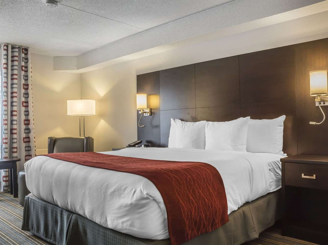 Quality Inn Leamington主图