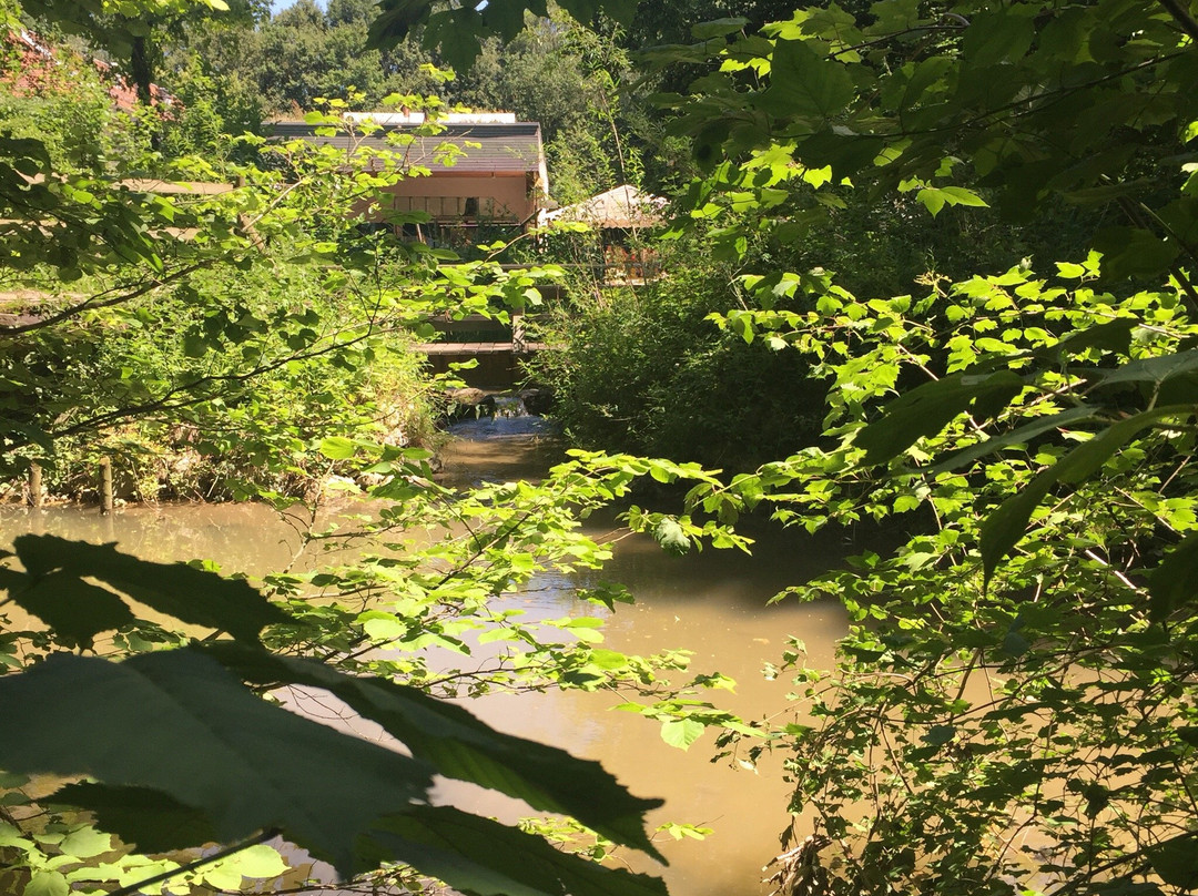La Maison de la Riviere-Tolochenaz必去景点
